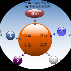 保理服务提供商 （合资或者合作项目）